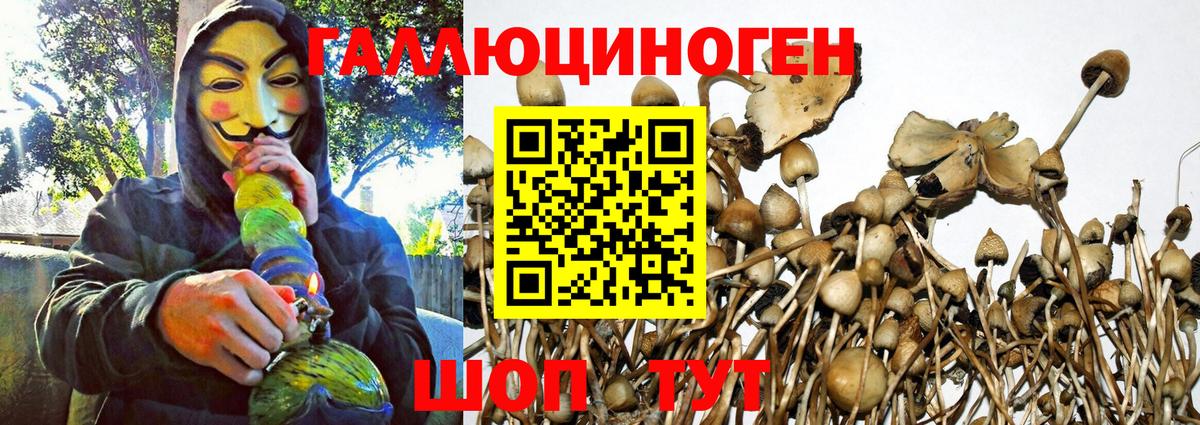 Зеленогорск  Псилоцибиновые грибы ЛСД  Вход с VPN 